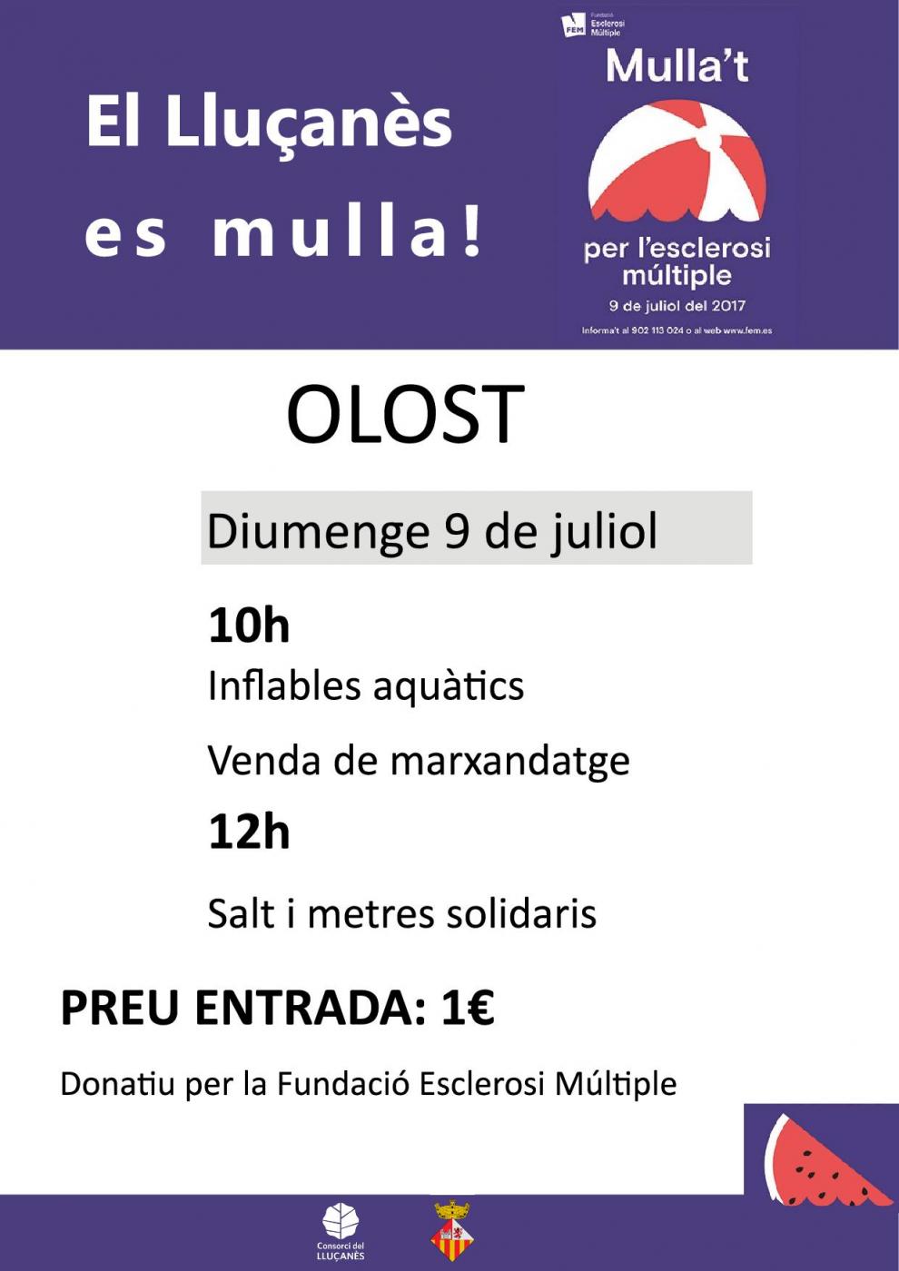 Mulla't per l'Esclerosi Múltiple!